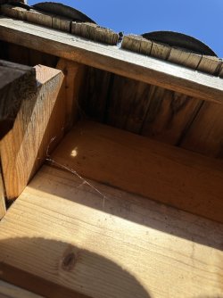 IMG_3319.jpeg