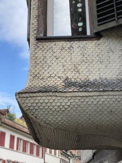 IMG_6028.jpeg