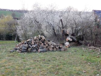 DSCN2448.JPG