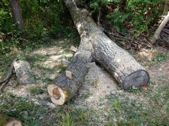DSCN4957.JPG