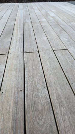 1000045852.jpg
