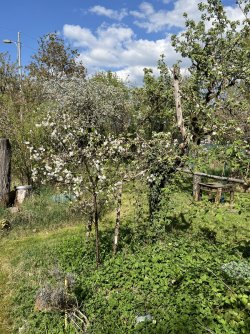 IMG_0017.jpeg