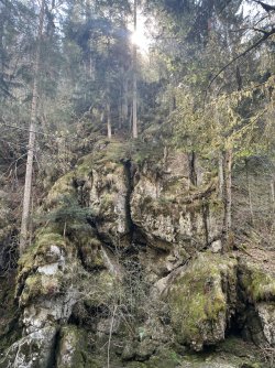 IMG_9907.jpeg