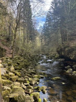 IMG_9896.jpeg