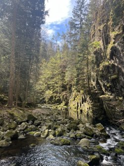 IMG_9898.jpeg