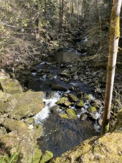 IMG_9905.jpeg