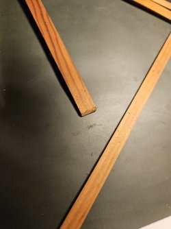 1000051216.jpg