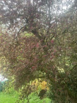 IMG_9932.jpeg