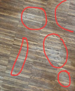 IMG_0266.jpeg
