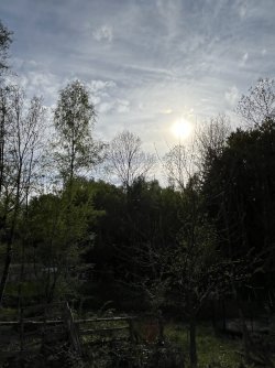 IMG_9967.jpeg