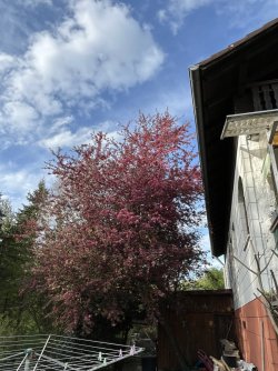 IMG_9965.jpeg