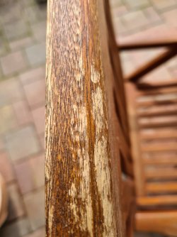 20250423_112403.jpg 20250423_112403.jpg