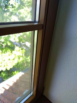 IMG_20250429_110524.jpg