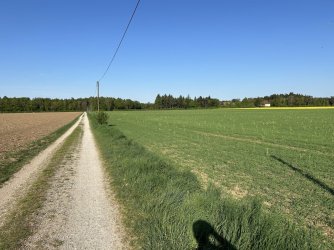 IMG_5639.jpeg