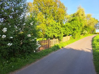 1000119946.jpg