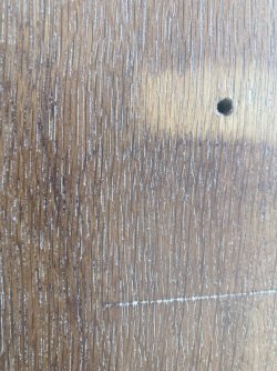 IMG_4885.jpeg