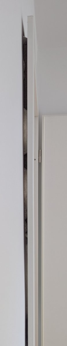 PXL_20250511_072345685.jpg