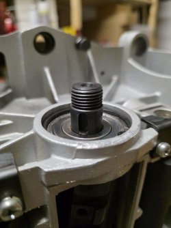 03 Nut an der Neuen WElle.jpg