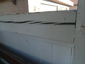 IMG_20250512_071608.jpg