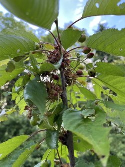 IMG_0112.jpeg