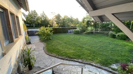 IMG_1925.jpeg