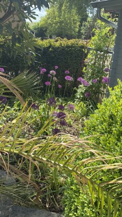 IMG_1934.jpeg