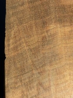 IMG_2930.jpeg