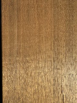 IMG_2931.jpeg