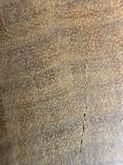 IMG_2937.jpeg