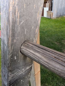 PXL_20250526_145941230.jpg