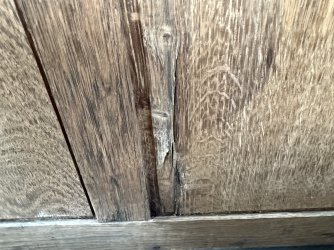 IMG_2611.jpeg