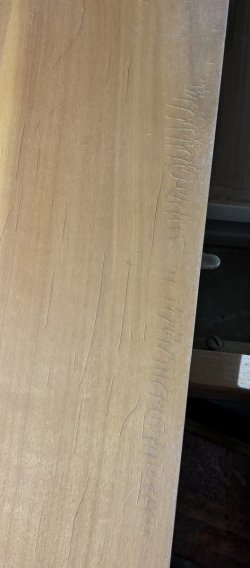 IMG_5814.jpeg IMG_5814.jpeg