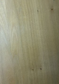 IMG_5816.jpeg IMG_5816.jpeg