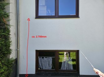 Katzen_ins_OG_Masse_02.jpg