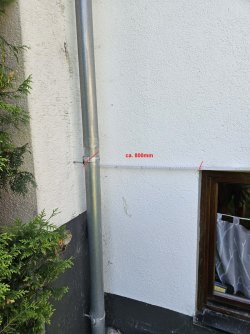 Katzen_ins_OG_Masse_03.jpg