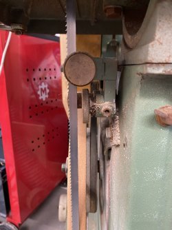 IMG_2050.jpeg
