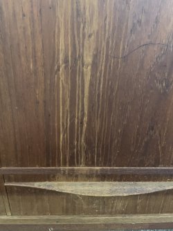 IMG_4496.jpeg
