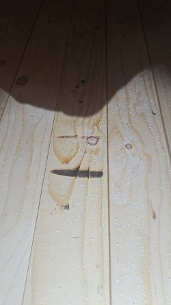 IMG-20250628-WA0002.jpeg