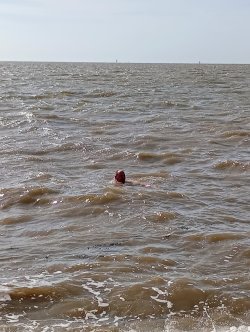 IMG_20250629_171152090.jpg