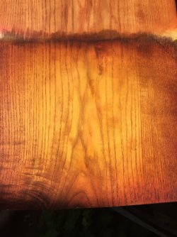 B307AD23-AF7F-4845-AD5A-E5BFA0C59062.jpeg B307AD23-AF7F-4845-AD5A-E5BFA0C59062.jpeg