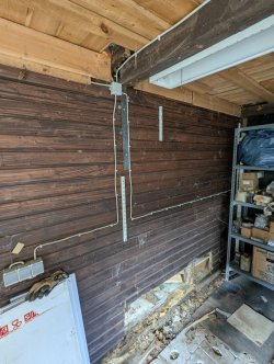 PXL_20250705_145815630.jpg