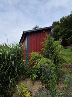 20250706_171404.jpg