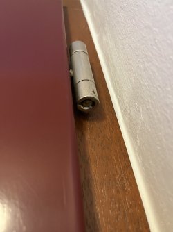 IMG_1335.jpeg