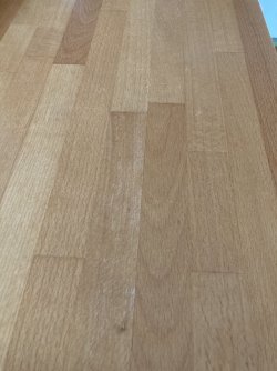 IMG_5810.jpeg