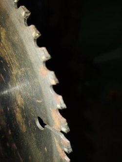 IMG_20250715_211713274.jpg
