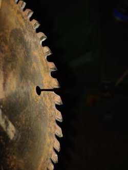 IMG_20250715_211634598.jpg