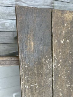 IMG_5728.jpg