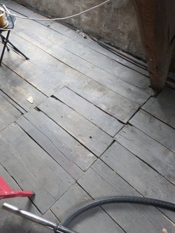 20250721_172720.jpg