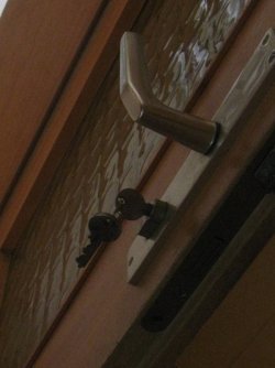 IMG_4463.JPG