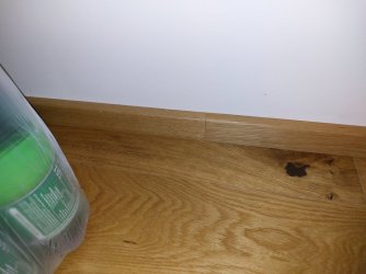 20250723_204844.jpg
